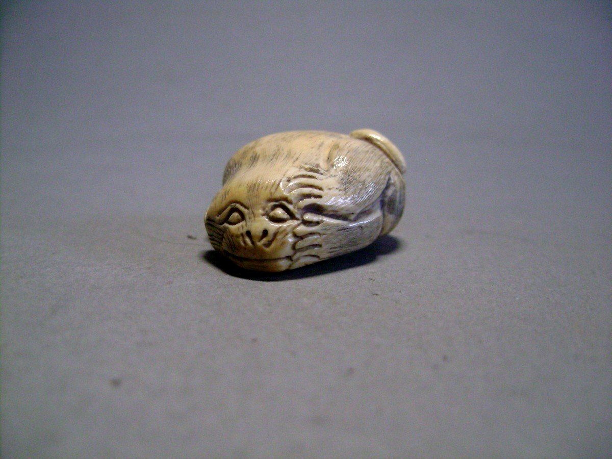 Netsuke In Ivory. The Monkey's Dream. Japan Meiji Period (1868-1912)