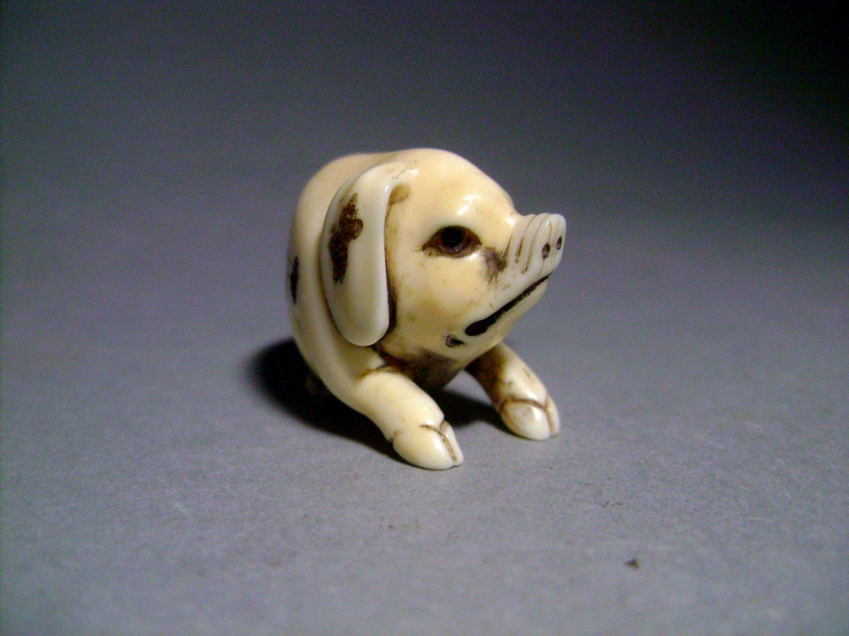 Ivory Netquke. Dirty Pig. Japan Taisho Period (1912 -1928)-photo-2
