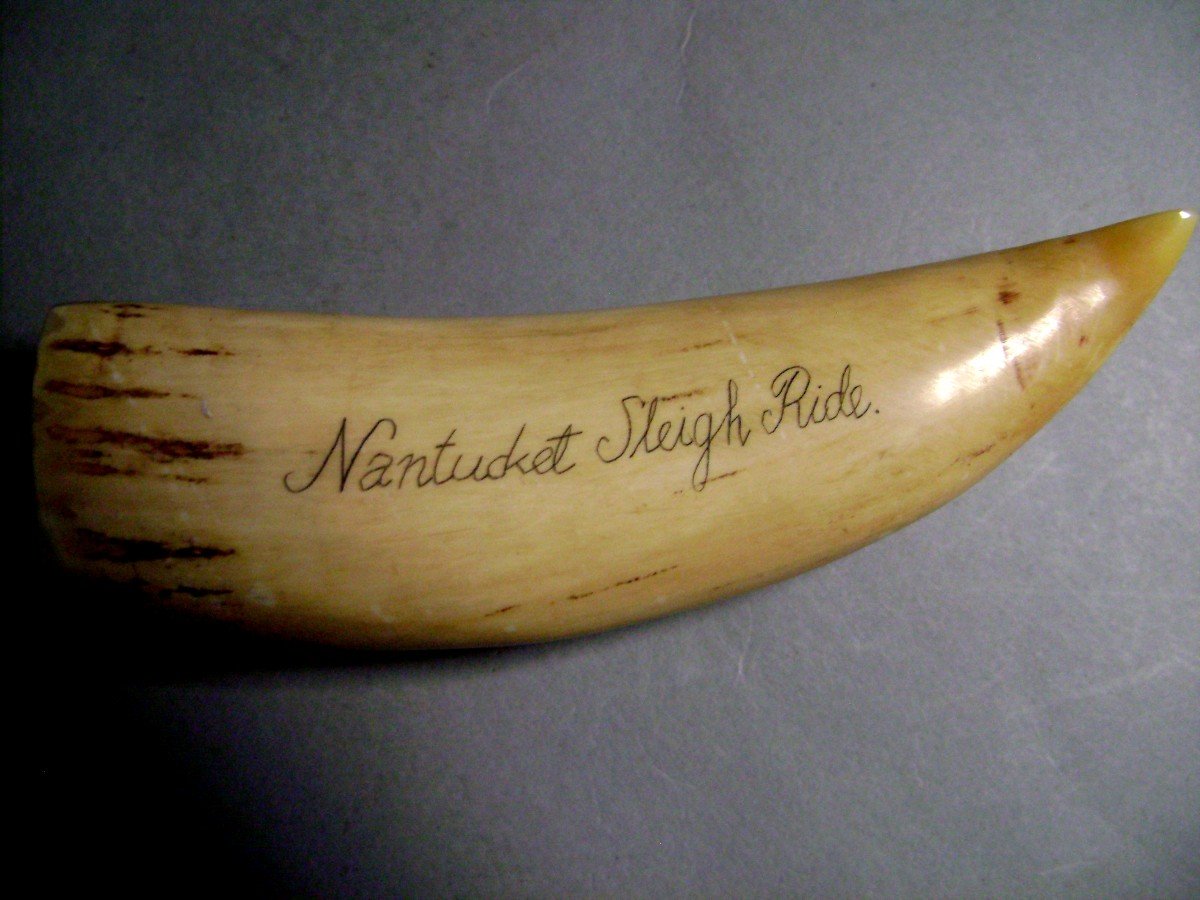 Scrimshaw en Ivoire. Baleine Harponnée.  Nantucket, Usa,  XIXème.-photo-2