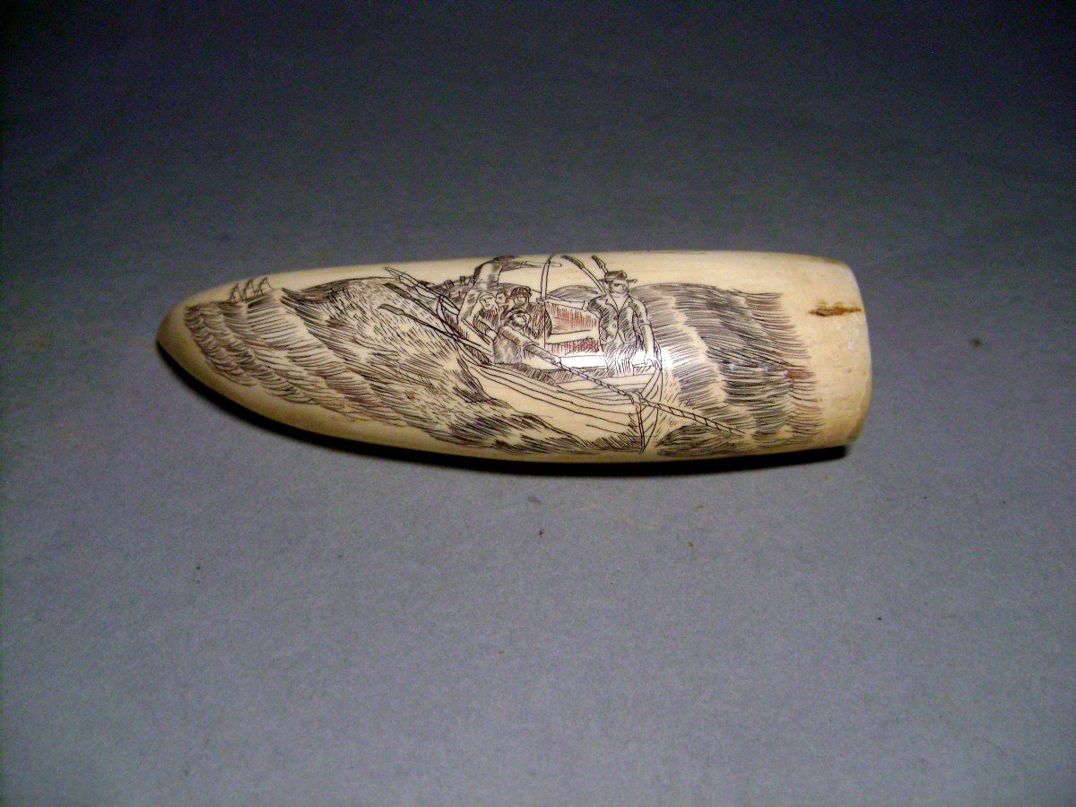 Scrimshaw In Ivory. Harpooned Whale. Nantucket, Usa, 19th Century.