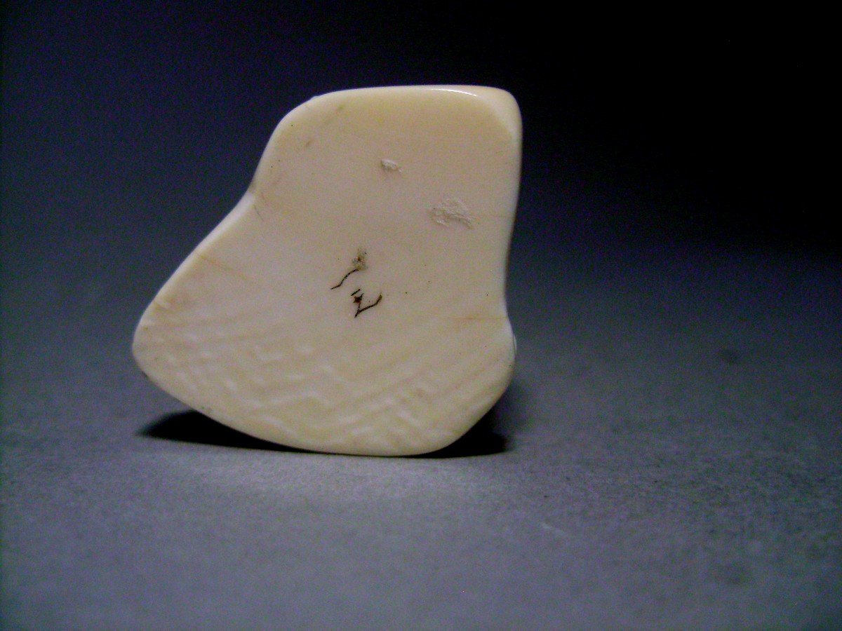 Netsuke In Ivory. Pumpkin Seller. Nagoya School. Japan Meiji Period (1868-1912)-photo-3