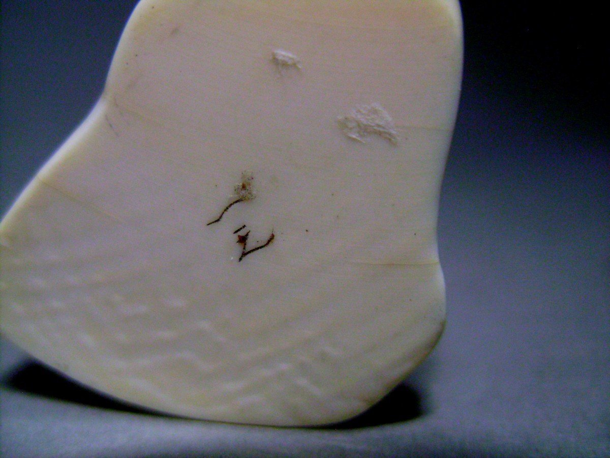Netsuke In Ivory. Pumpkin Seller. Nagoya School. Japan Meiji Period (1868-1912)-photo-4