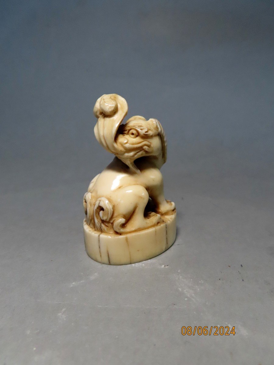Sceau en Ivoire. Shishi. Japon époque Meiji (1868-1912 )