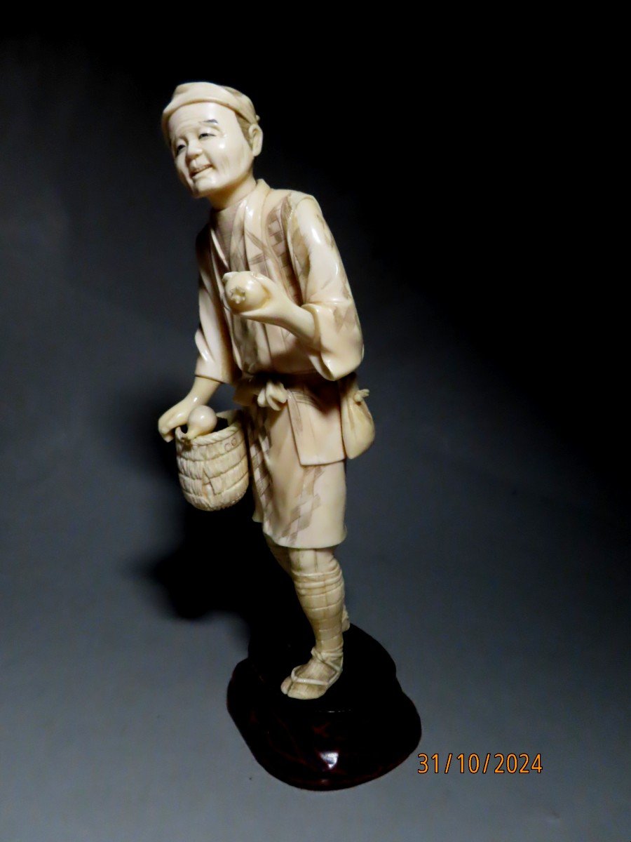 Okimono en ivoire,  Le jardinier aux kakis. Japon fin Meiji (1868-1912 )