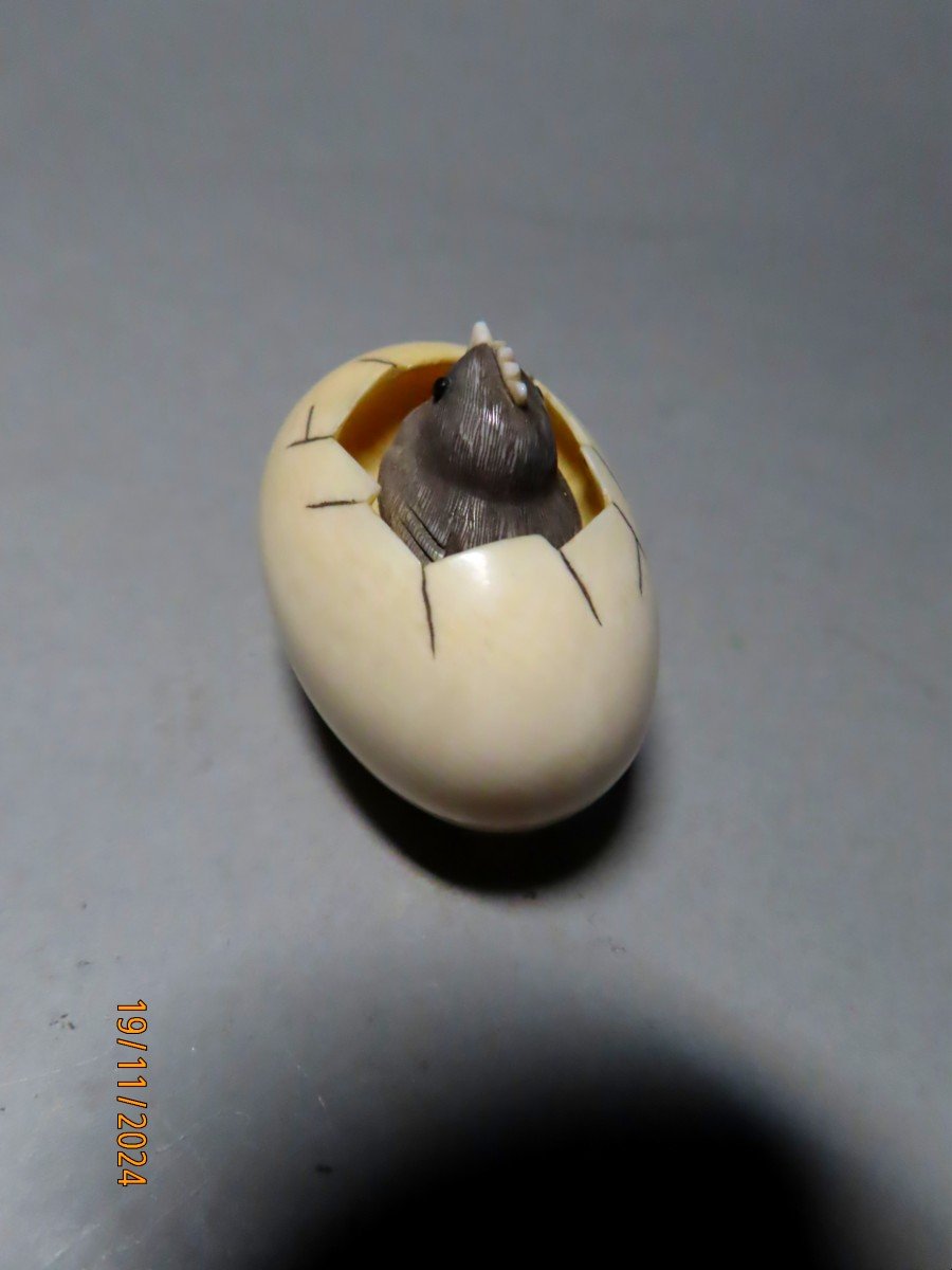 Ivory Netsuke. Black Chick In A Shell. Signed Mitsuhiro, Osaka School. Meiji Japan -photo-4