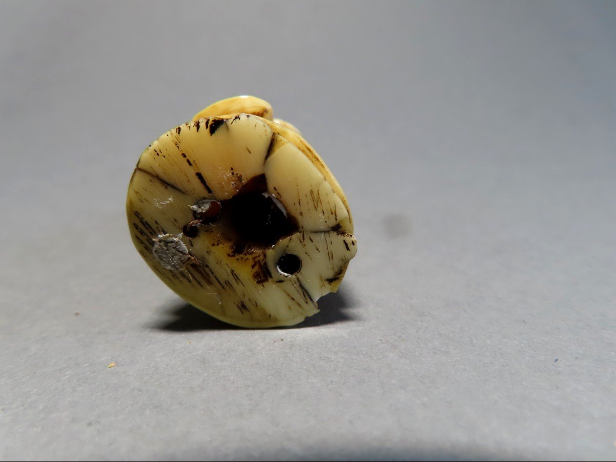Ivory Netsuke. The God Fukurokuju. Japan Meiji Period (1868-1912)-photo-2