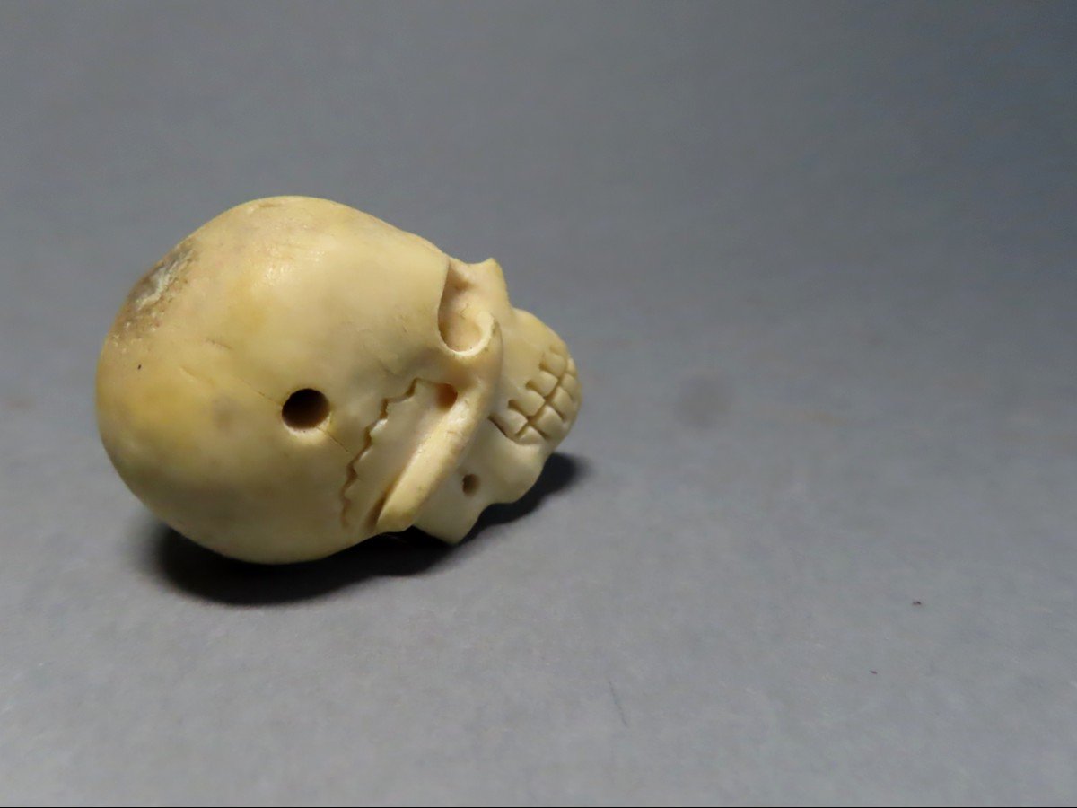 Memento Mori In Bone. Vanity. Early 20th Century-photo-1