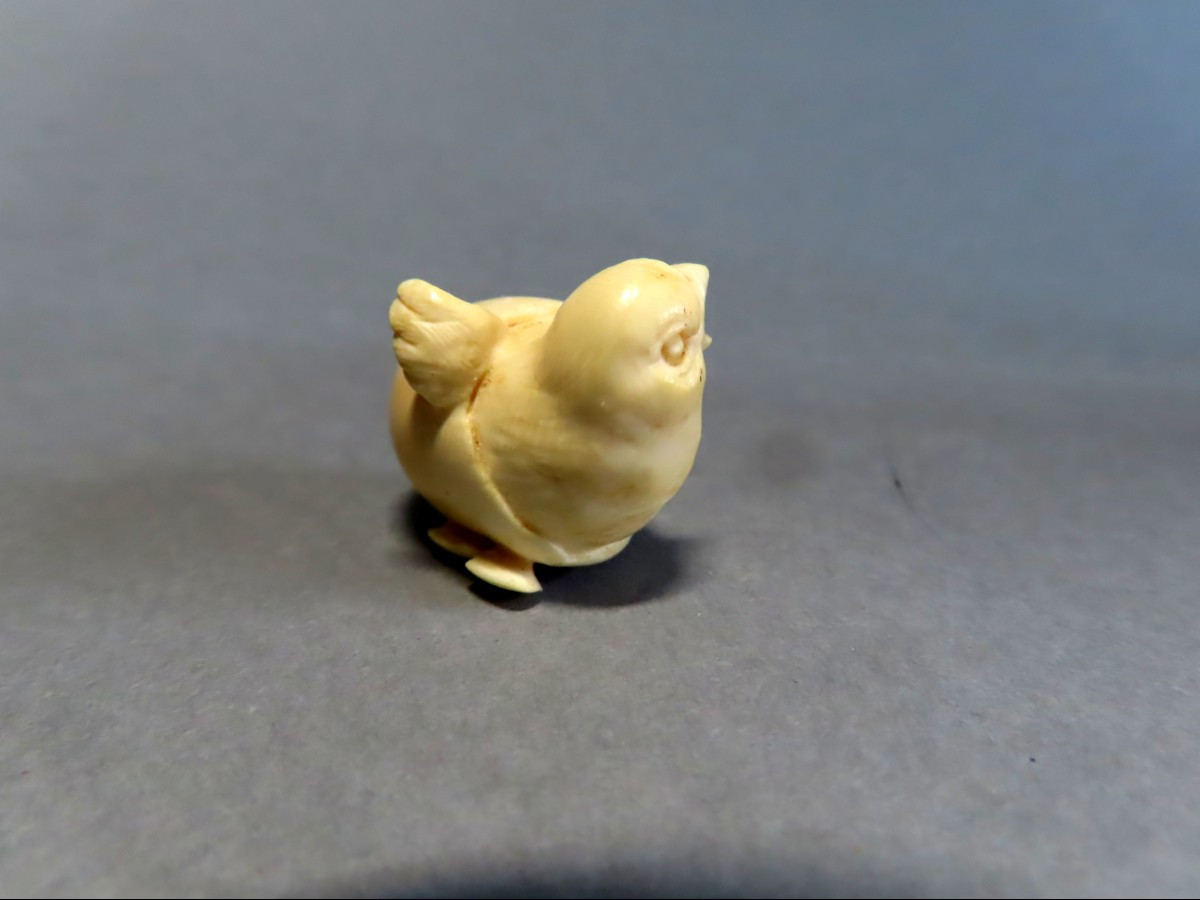 Poussin  en ivoire. Japon époque Meiji (1868-1912 )-photo-1
