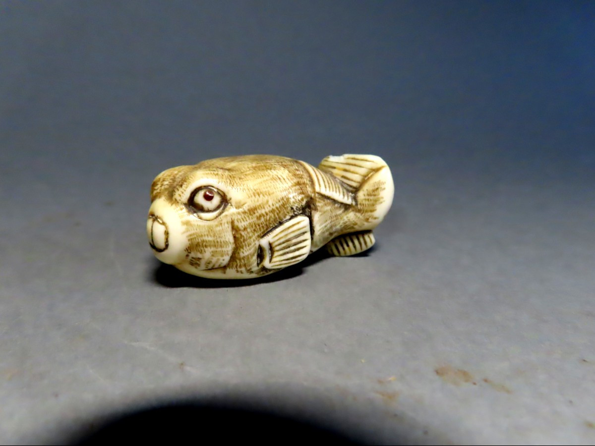 Netsuke en ivoire. Le célèbre Fugu, poisson globe. Japon époque Meiji (1868-1912 )-photo-2