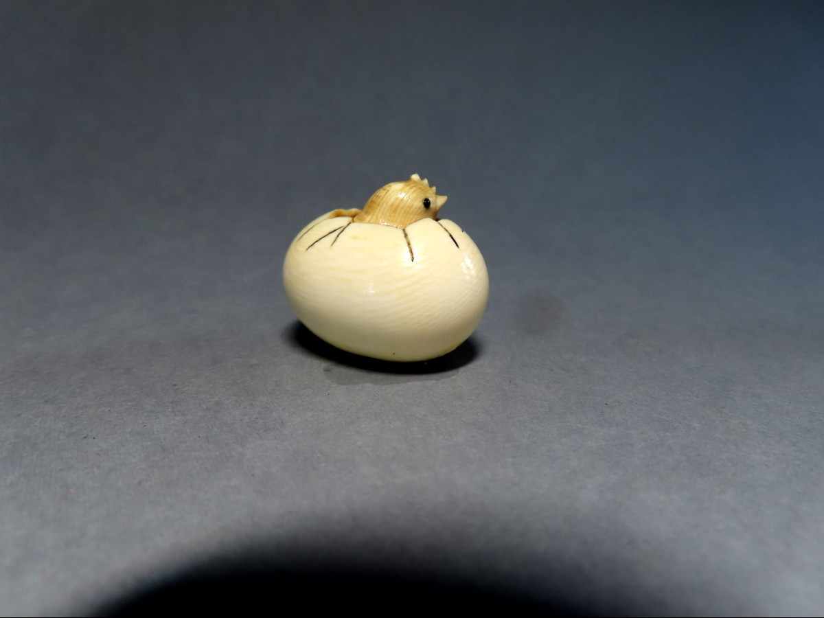 Netsuke en ivoire. Poussin dans l'oeuf. Japon époque Taisho (1912-1928 )-photo-2