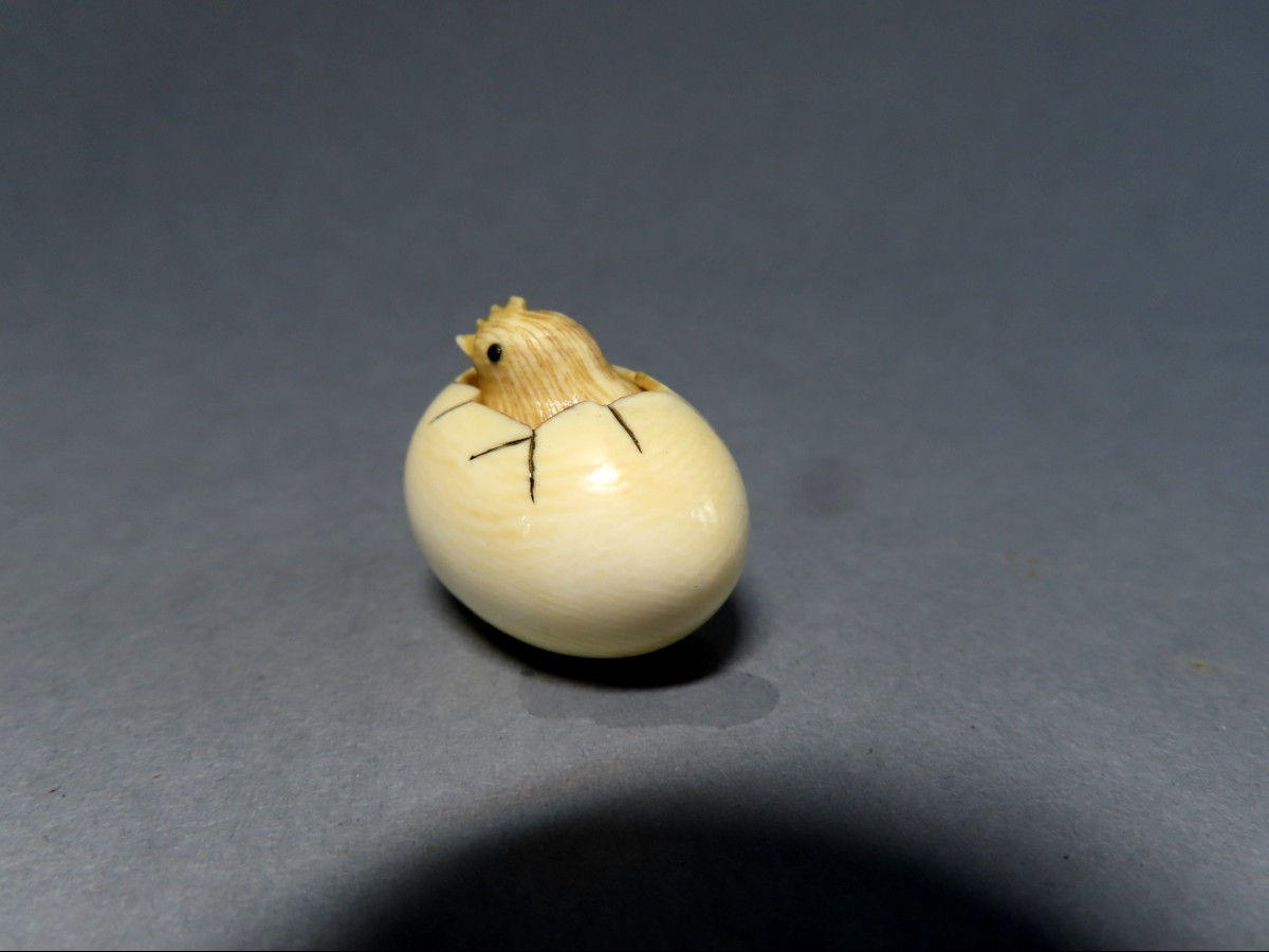 Netsuke en ivoire. Poussin dans l'oeuf. Japon époque Taisho (1912-1928 )-photo-4