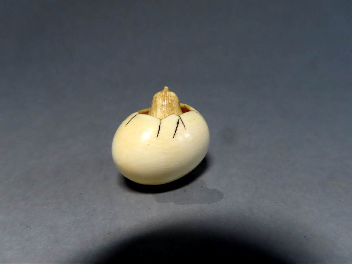 Netsuke en ivoire. Poussin dans l'oeuf. Japon époque Taisho (1912-1928 )-photo-1