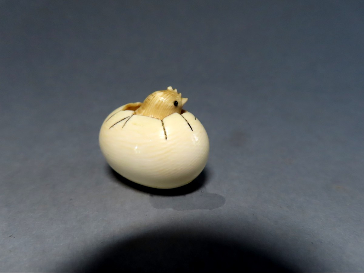 Netsuke en ivoire. Poussin dans l'oeuf. Japon époque Taisho (1912-1928 )-photo-2