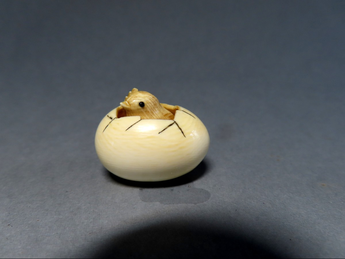 Netsuke en ivoire. Poussin dans l'oeuf. Japon époque Taisho (1912-1928 )