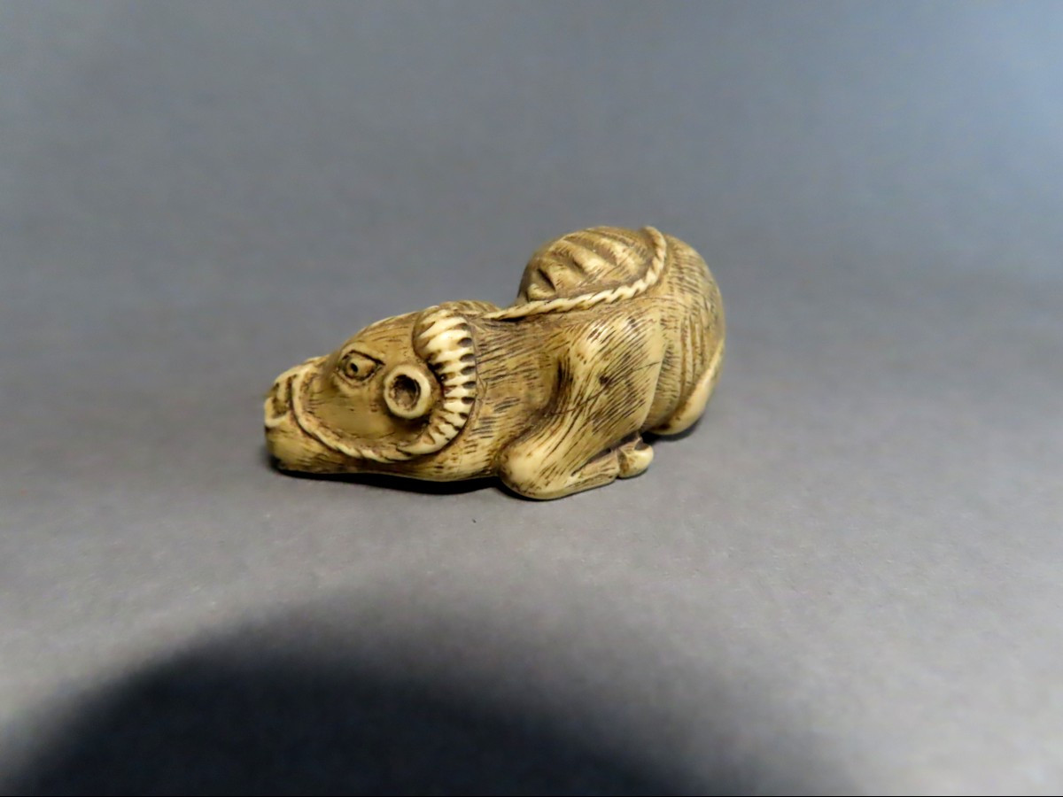 Netsuke en ivoiore. Buffle des rizières. Japon époque Meiji (1868-21912 )-photo-3