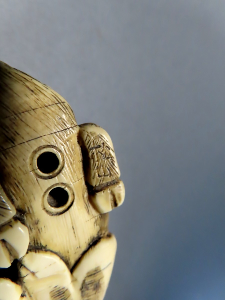 Netsuke en ivoiore. Buffle des rizières. Japon époque Meiji (1868-21912 )-photo-5
