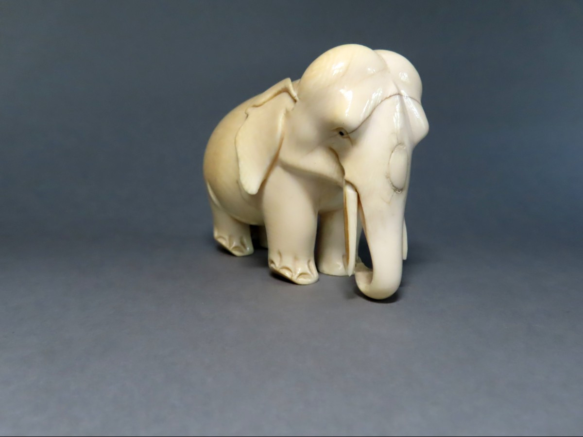 Statuette en ivoire. Eléphant. Afrique 1930-40.-photo-3
