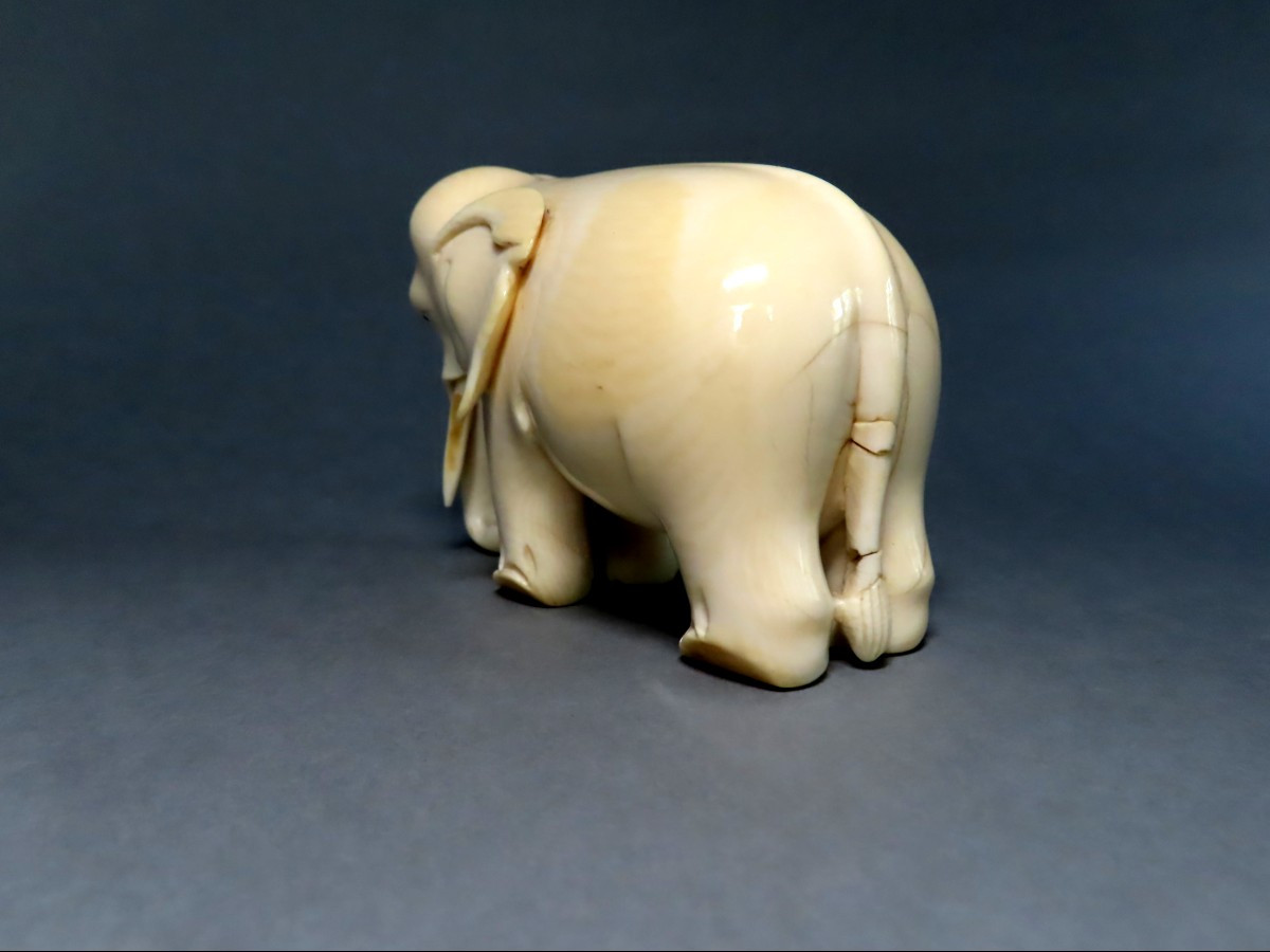 Statuette en ivoire. Eléphant. Afrique 1930-40.-photo-1