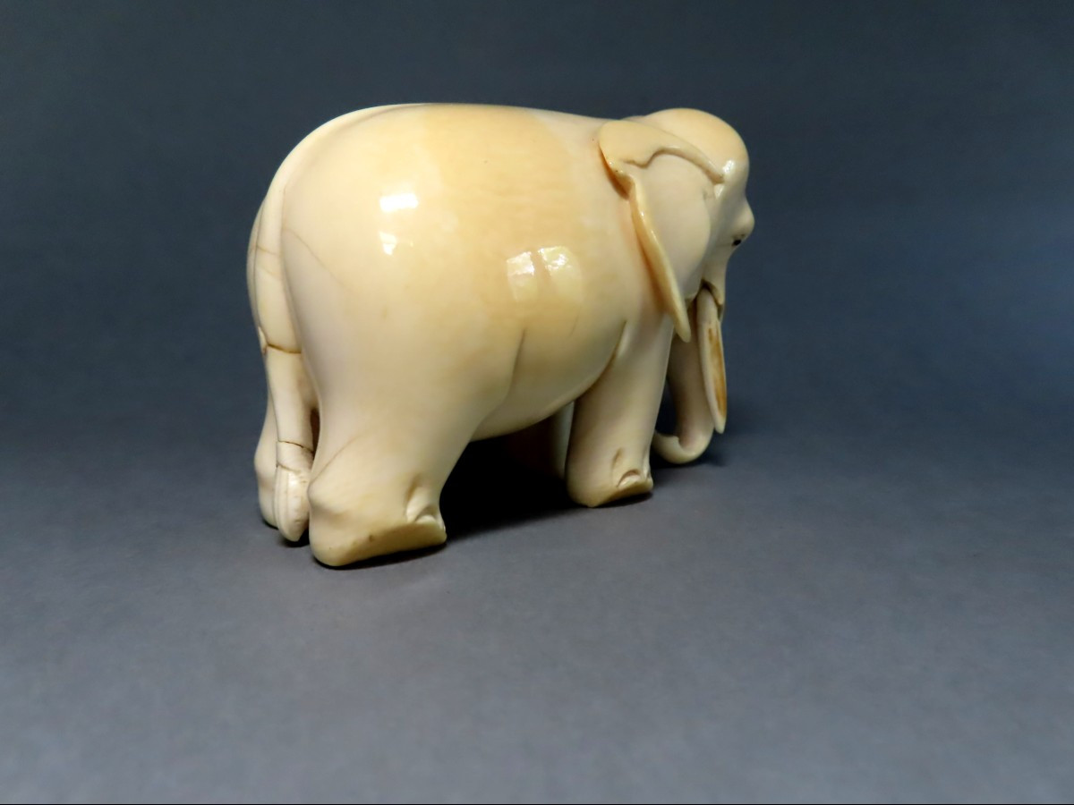Statuette en ivoire. Eléphant. Afrique 1930-40.-photo-2