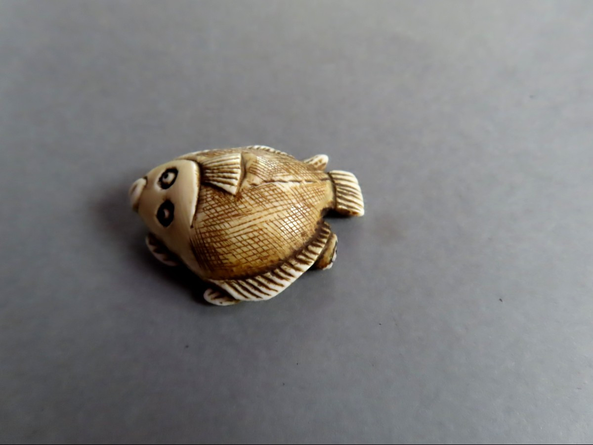 Netsuke en ivoire. Flétan. Japon époque Taisho (1912-1928 )-photo-2