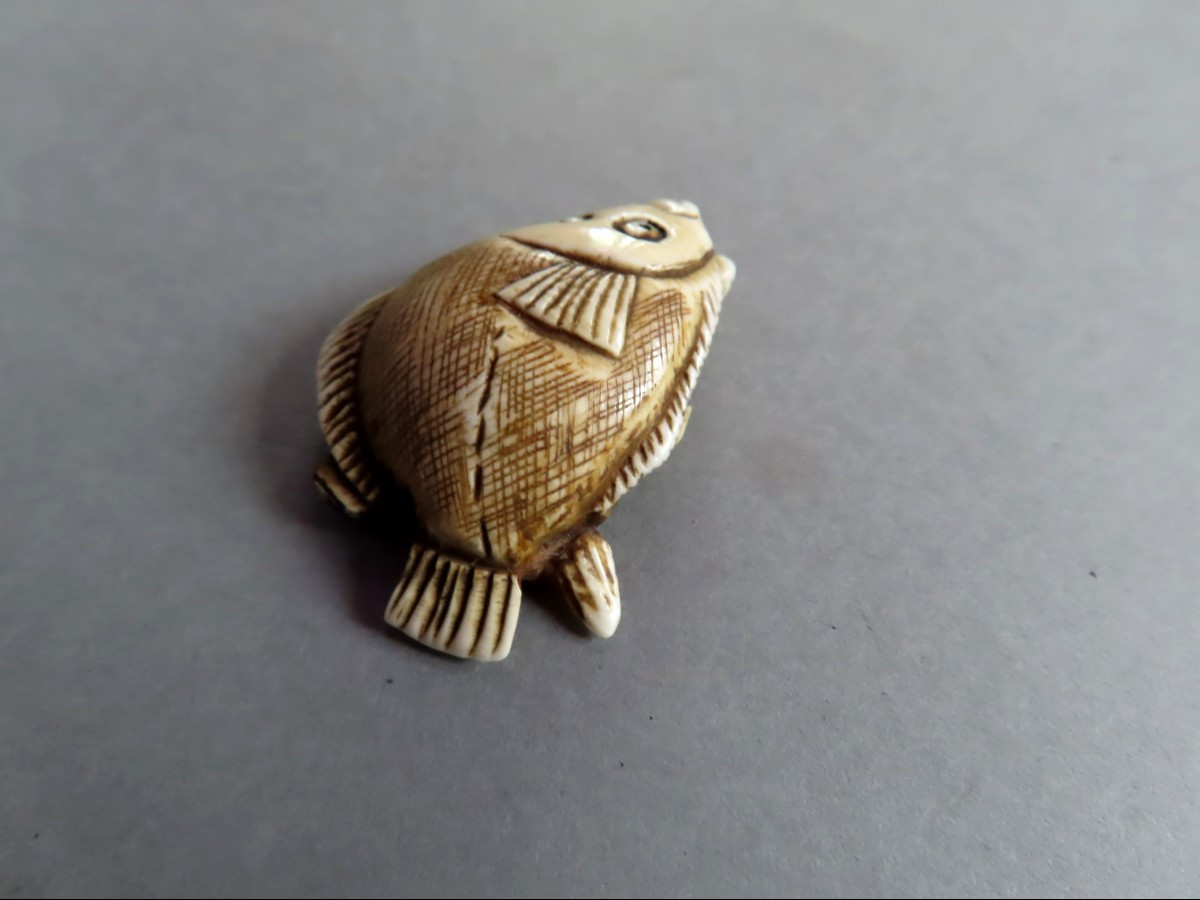 Netsuke en ivoire. Flétan. Japon époque Taisho (1912-1928 )-photo-3