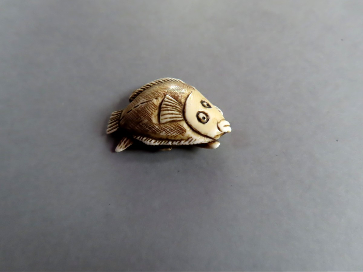 Netsuke en ivoire. Flétan. Japon époque Taisho (1912-1928 )-photo-4