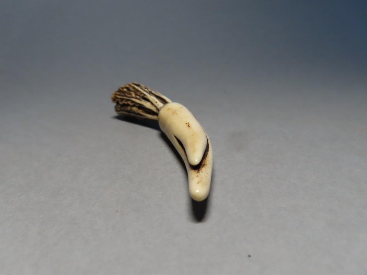 Ivory Netsuke. Daikon. Japan, Meiji Period (1868-1912)-photo-3