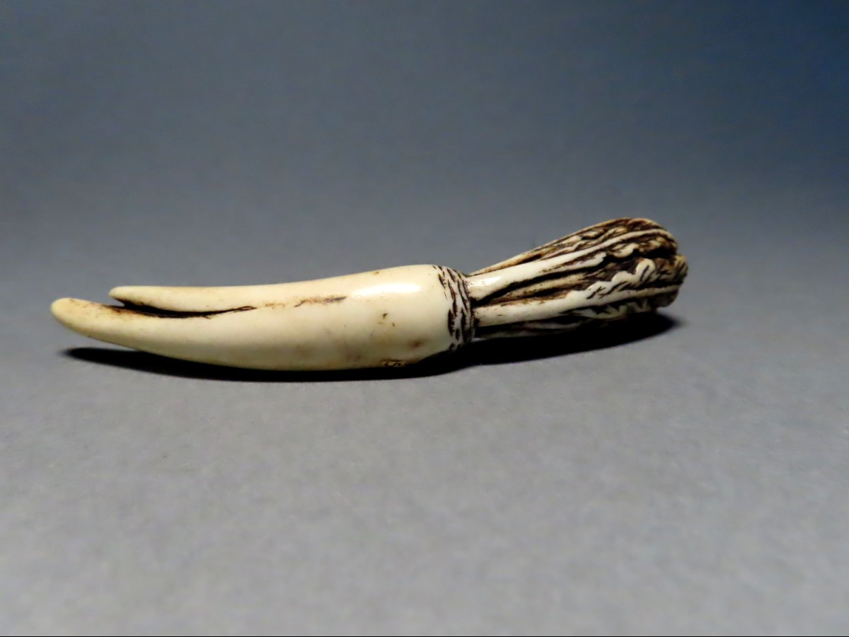 Ivory Netsuke. Daikon. Japan, Meiji Period (1868-1912)-photo-4