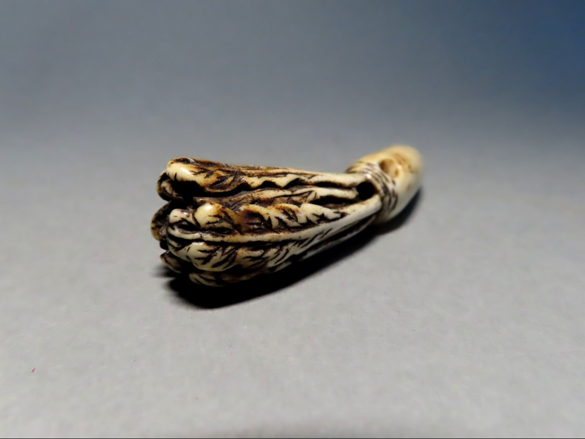 Ivory Netsuke. Daikon. Japan, Meiji Period (1868-1912)-photo-1