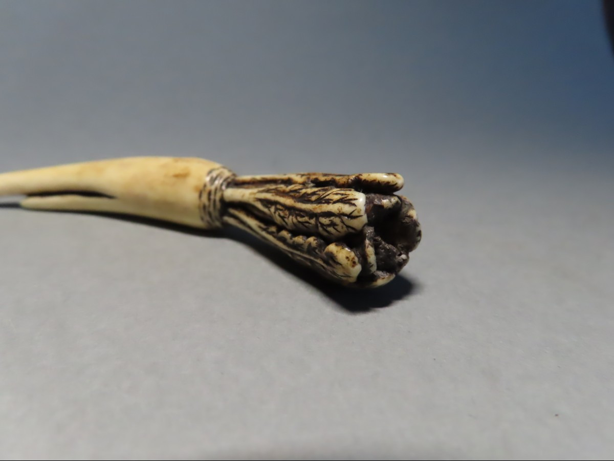 Ivory Netsuke. Daikon. Japan, Meiji Period (1868-1912)-photo-2