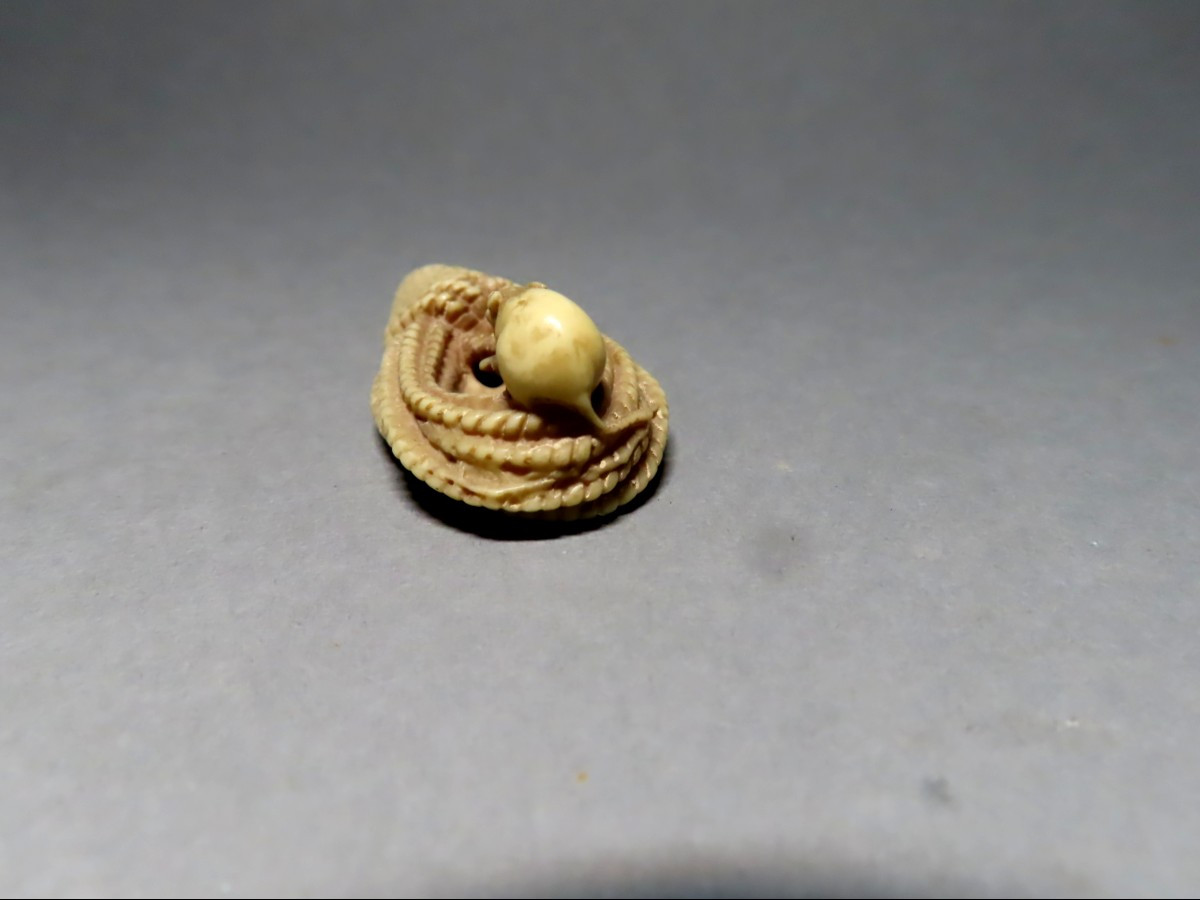 Netsuke en ivoire. Rat sur un cordage. Japon époque Meiji (1868-1912 )-photo-4