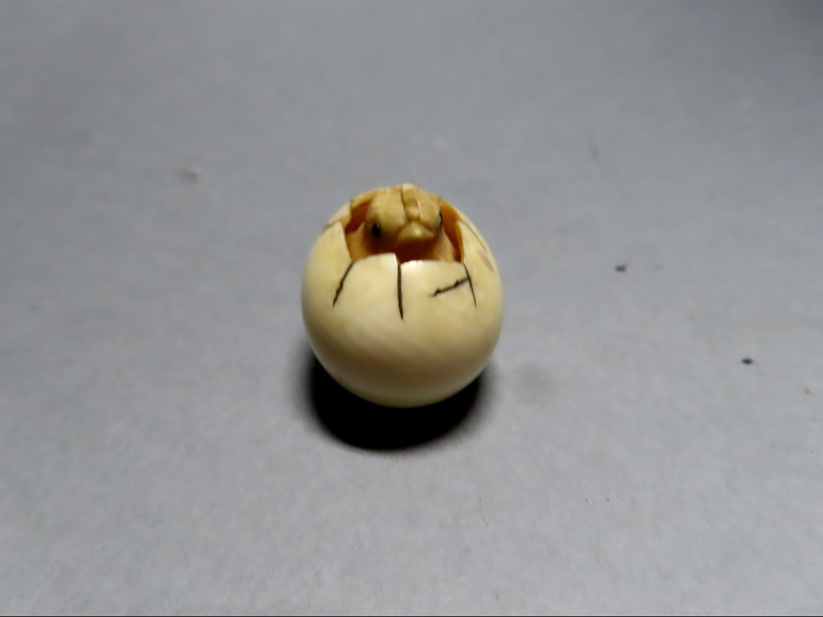 Netsuke en ivoire. Poussin dans l'oeuf. Japon époque Meiji (1868-1912 )-photo-2