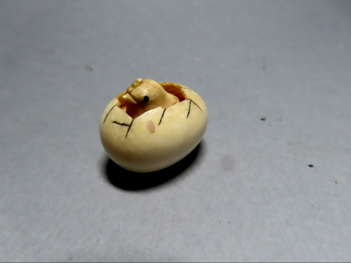 Netsuke en ivoire. Poussin dans l'oeuf. Japon époque Meiji (1868-1912 )-photo-3