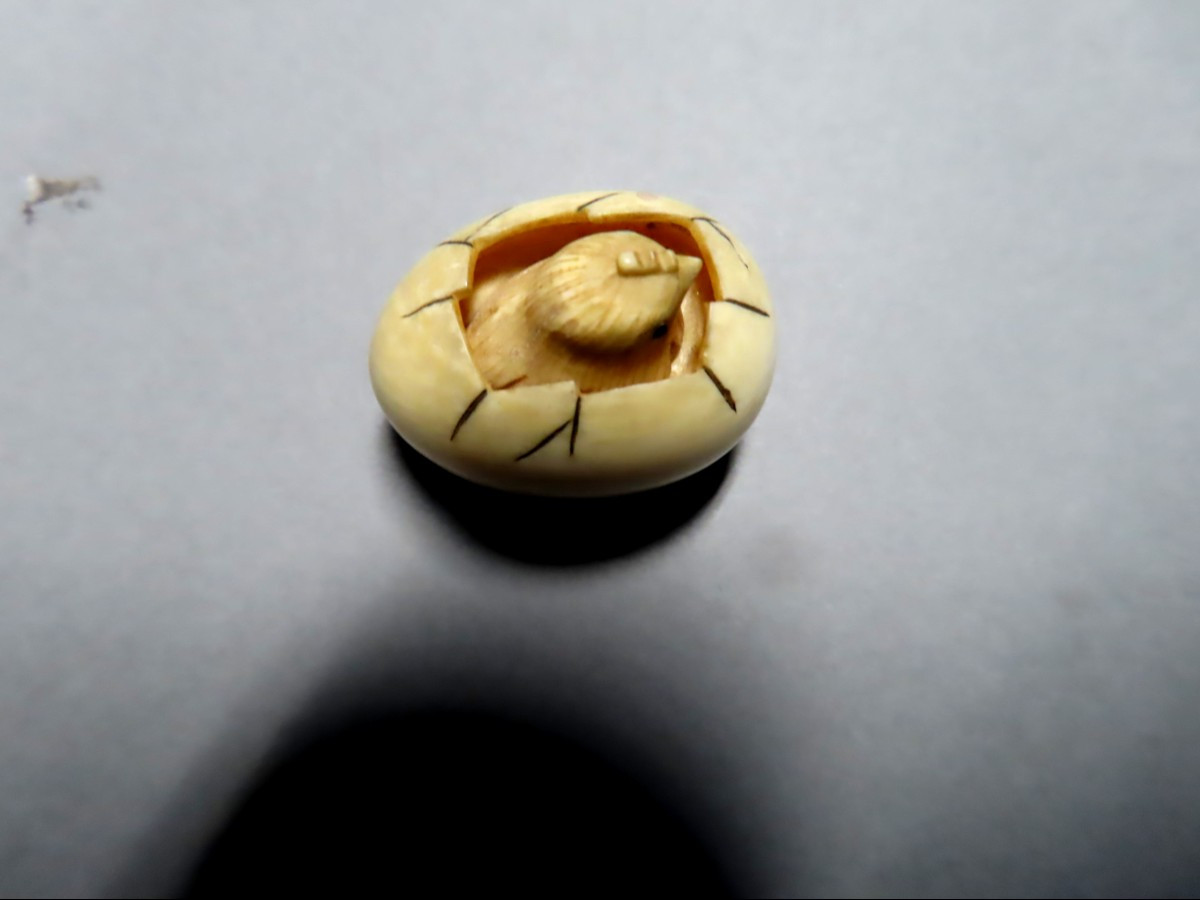 Netsuke en ivoire. Poussin dans l'oeuf. Japon époque Meiji (1868-1912 )-photo-2