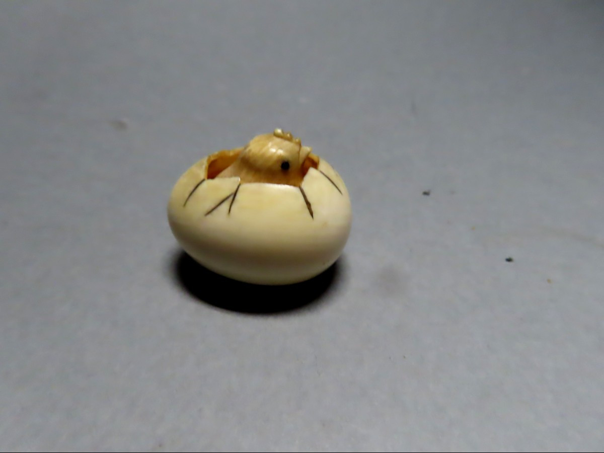 Netsuke en ivoire. Poussin dans l'oeuf. Japon époque Meiji (1868-1912 )