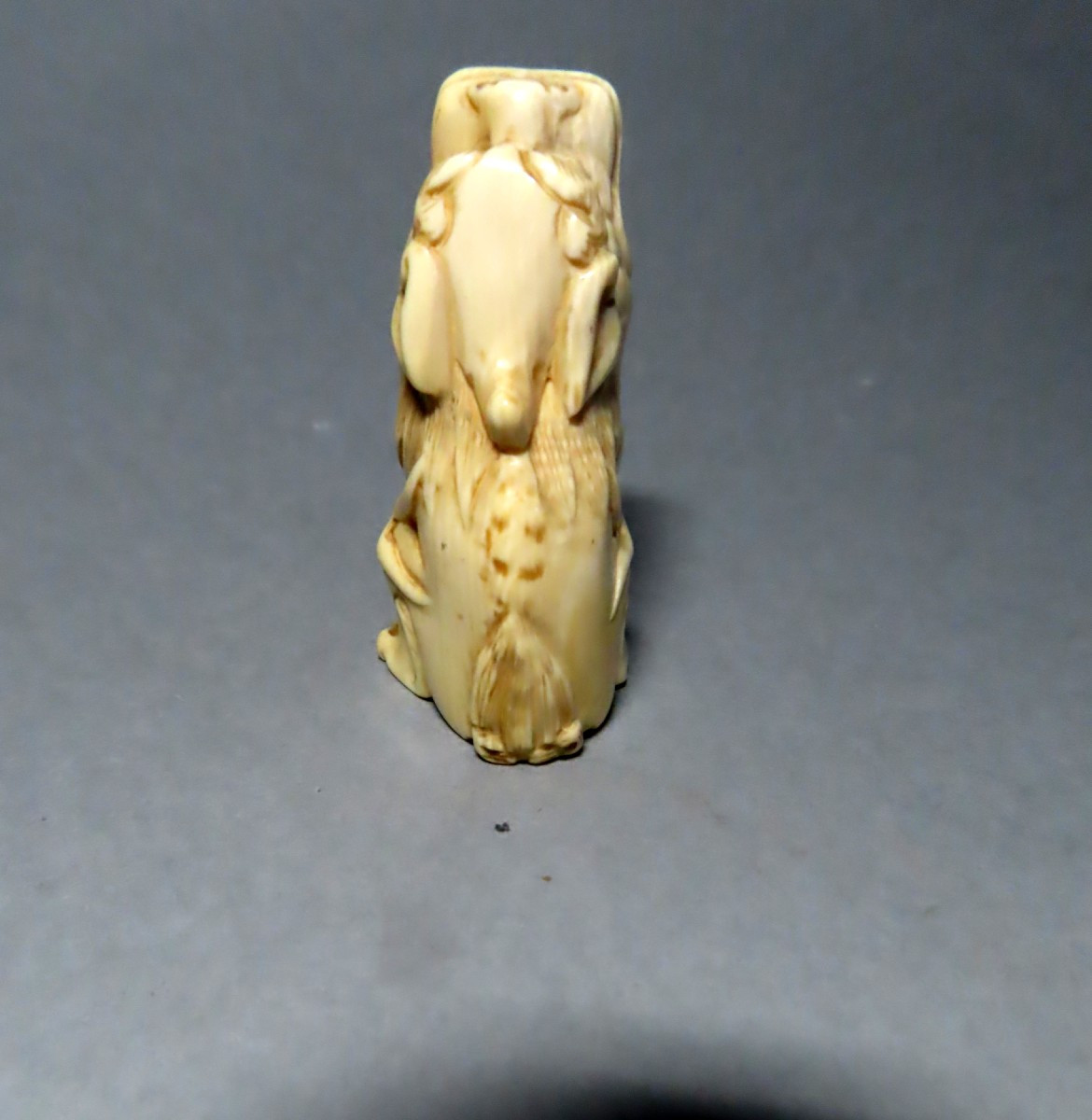 Ivory Netsuke. Shishi. Japan Meiji Period (1868-1912)-photo-3