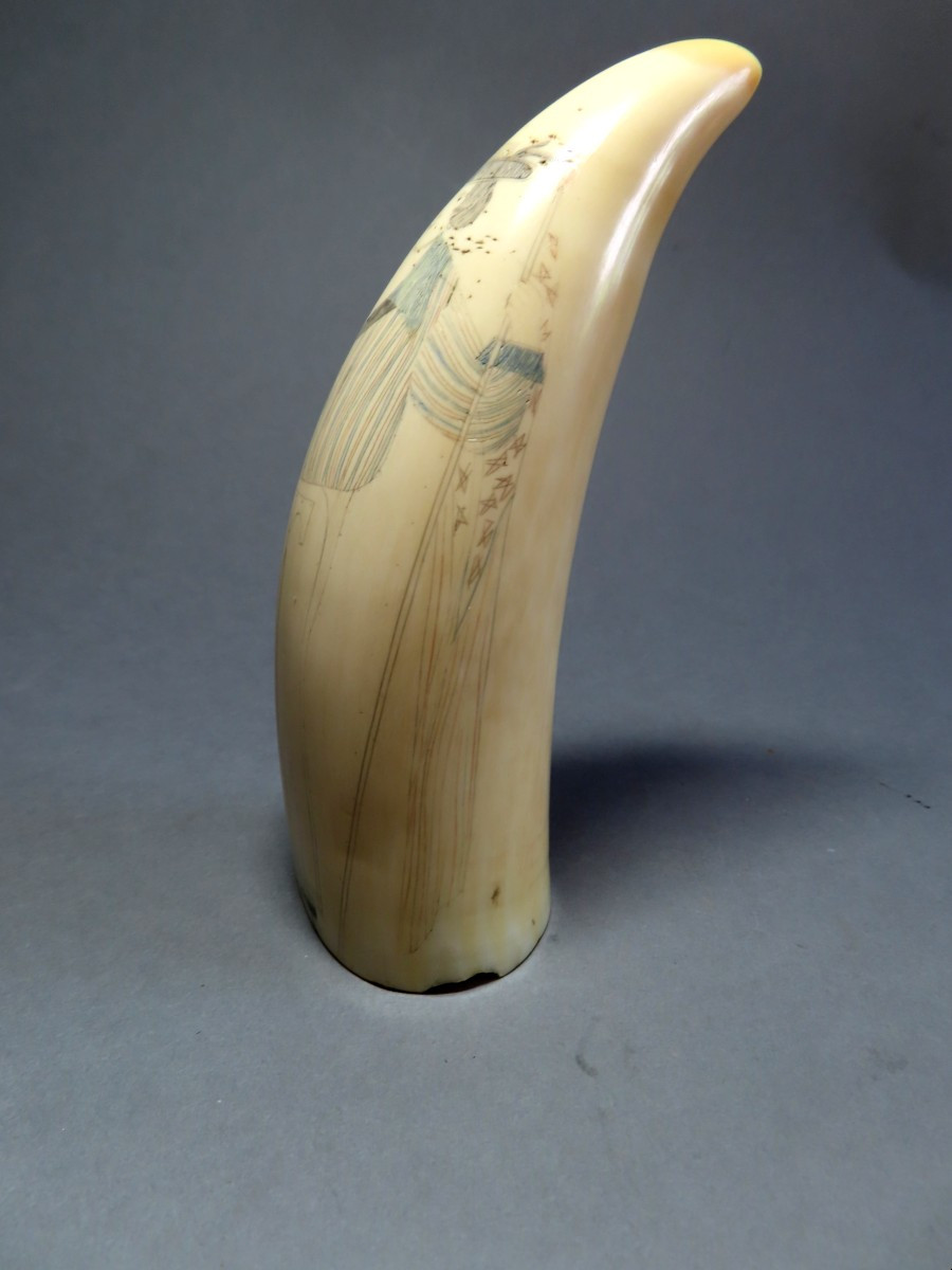 Sperm Whale Tooth Scrimshaw. Whaler's Sailor. 19th Century.-photo-2