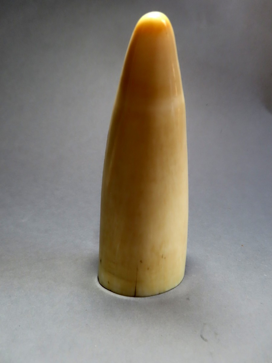 Sperm Whale Tooth Scrimshaw. Whaler's Sailor. 19th Century.-photo-3