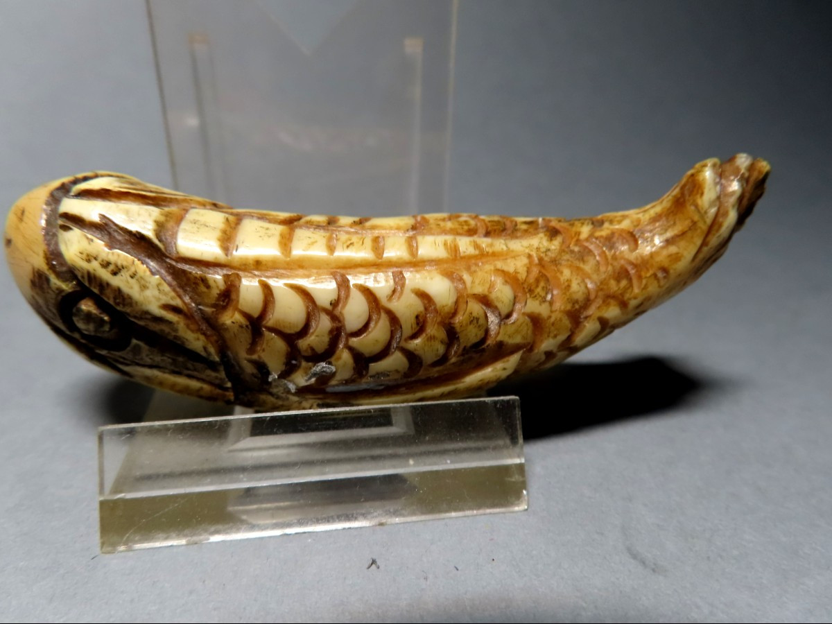 Netsuke Made Of Marine Ivory. Parrotfish. Japan, Meiji Period (1868-1912)-photo-4