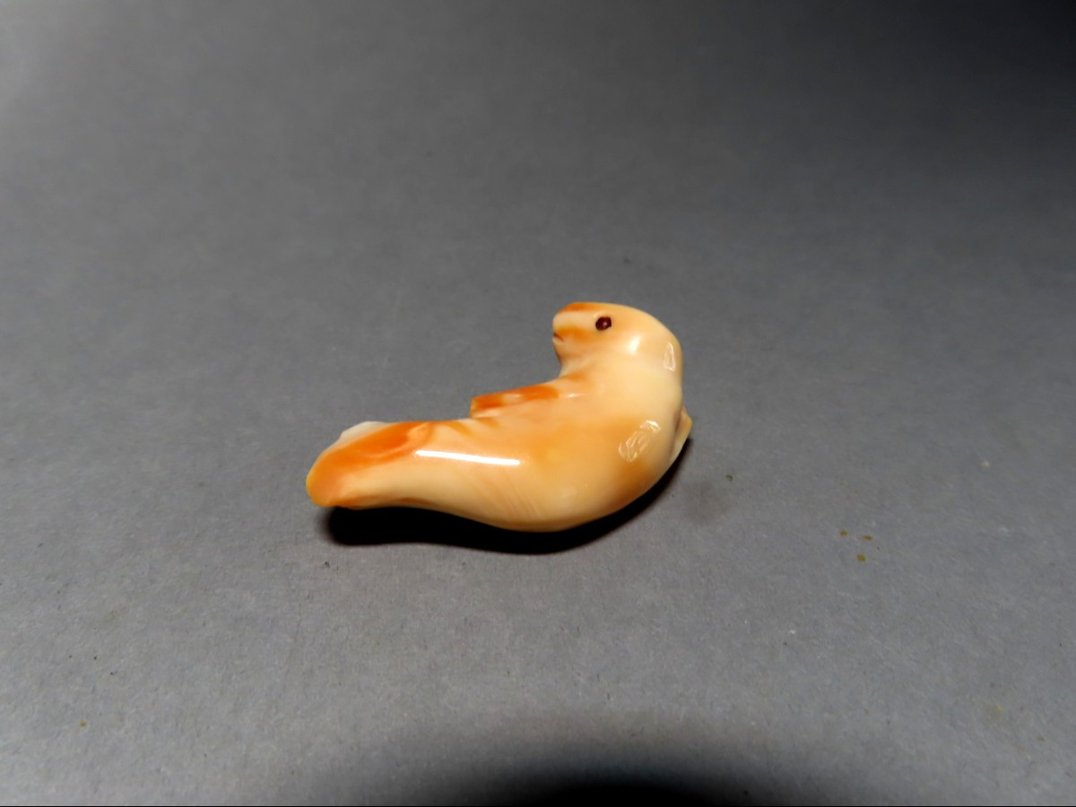 Netsuke en ivoire. Jeune phoque. Japon , époque Taisho (1912-1928 )-photo-3