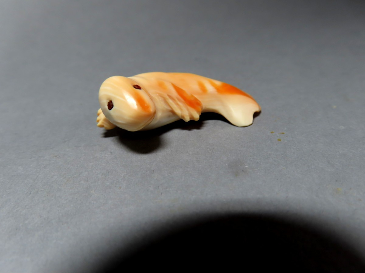 Netsuke en ivoire. Jeune phoque. Japon , époque Taisho (1912-1928 )-photo-1