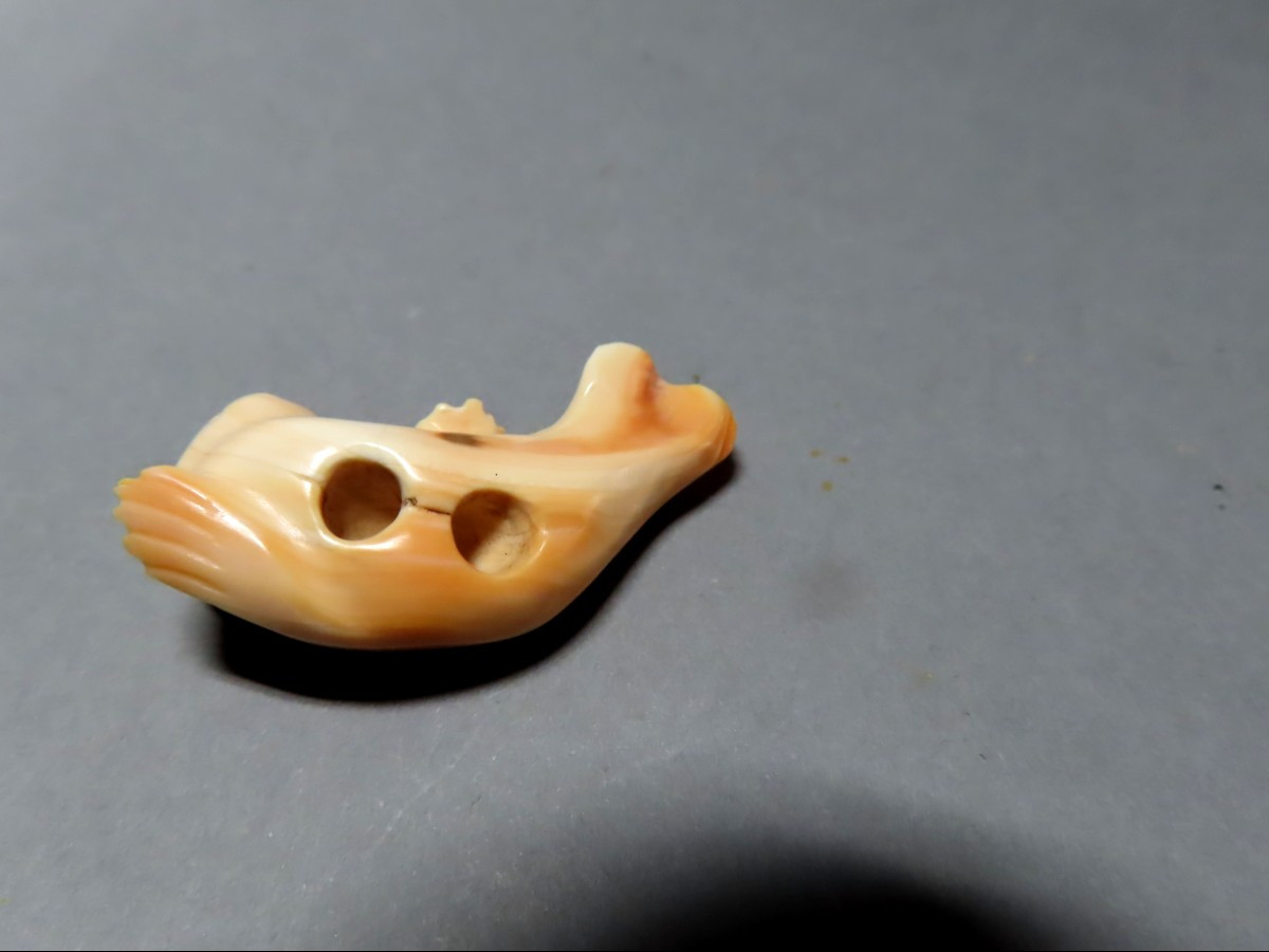 Netsuke en ivoire. Jeune phoque. Japon , époque Taisho (1912-1928 )-photo-2