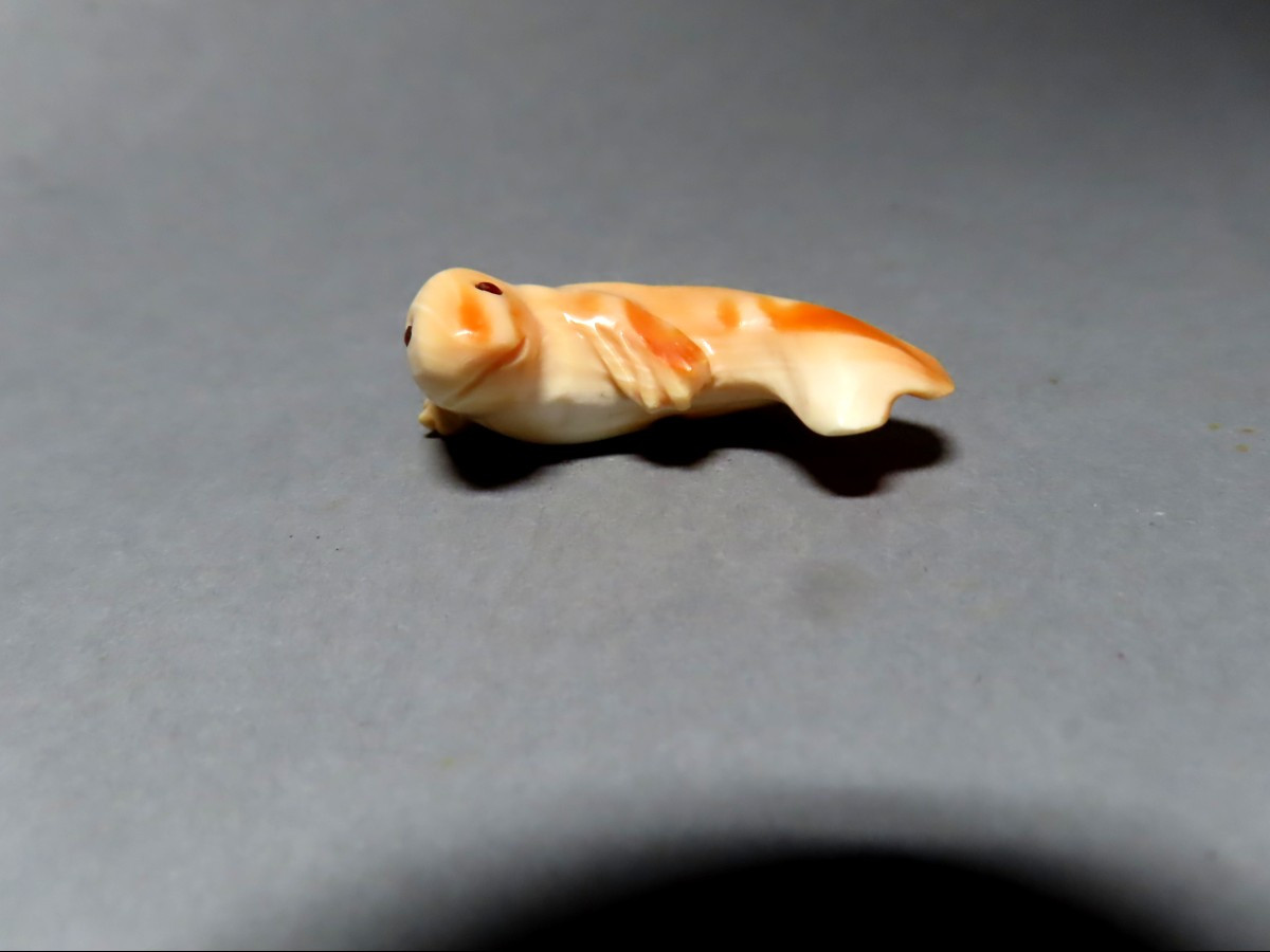 Netsuke en ivoire. Jeune phoque. Japon , époque Taisho (1912-1928 )