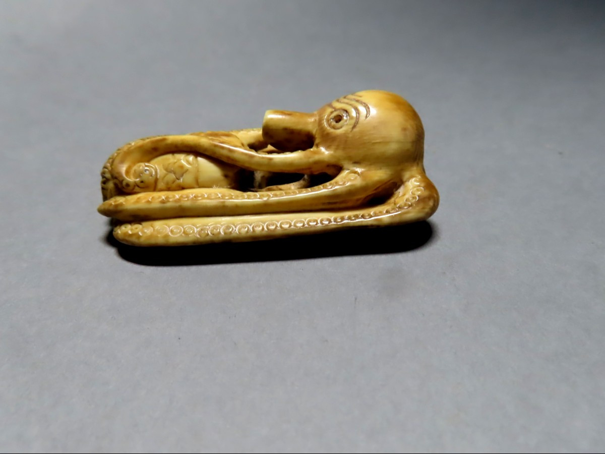 Netsuke en ivoire. Pieuvre prédatrice. Japon époque Meiji (1868-1912 )-photo-2