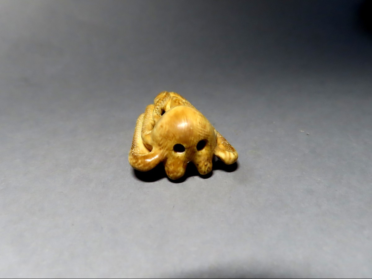 Netsuke en ivoire. Pieuvre prédatrice. Japon époque Meiji (1868-1912 )-photo-3