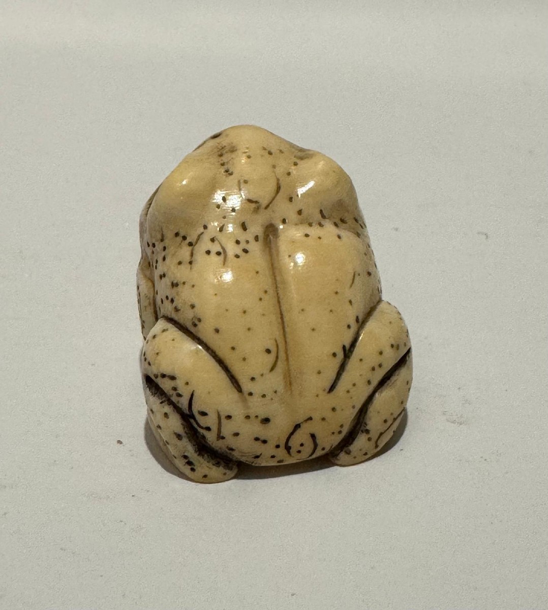 Netsuke en ivoire. Grenouille. Japon époque Meiji (1868-1912 )-photo-2