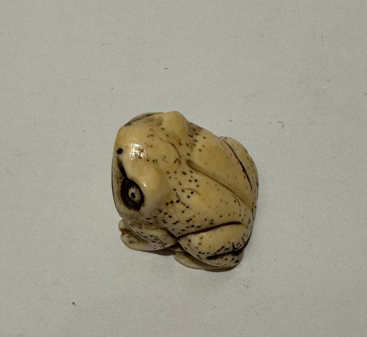 Netsuke en ivoire. Grenouille. Japon époque Meiji (1868-1912 )-photo-3
