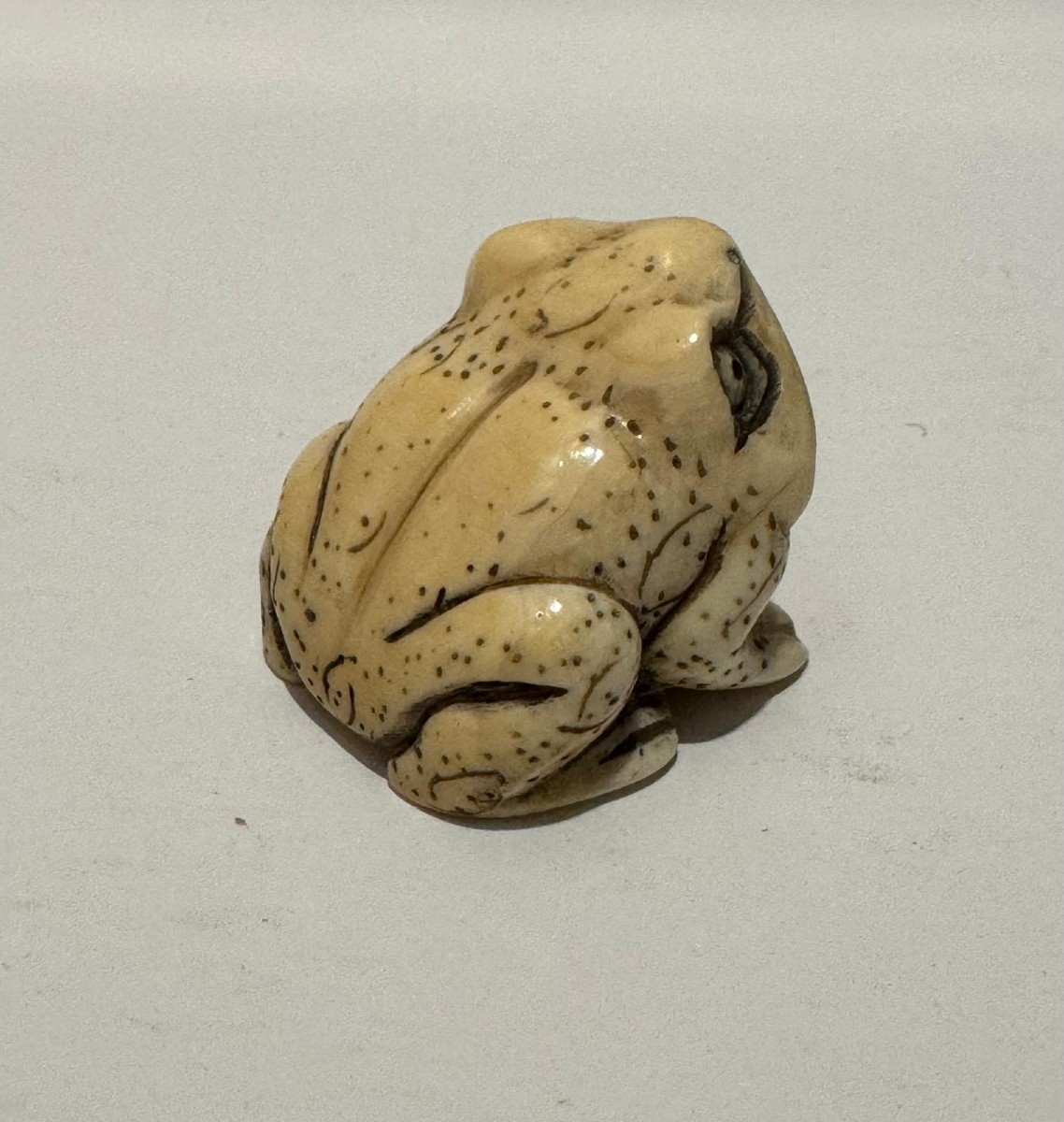 Netsuke en ivoire. Grenouille. Japon époque Meiji (1868-1912 )-photo-4