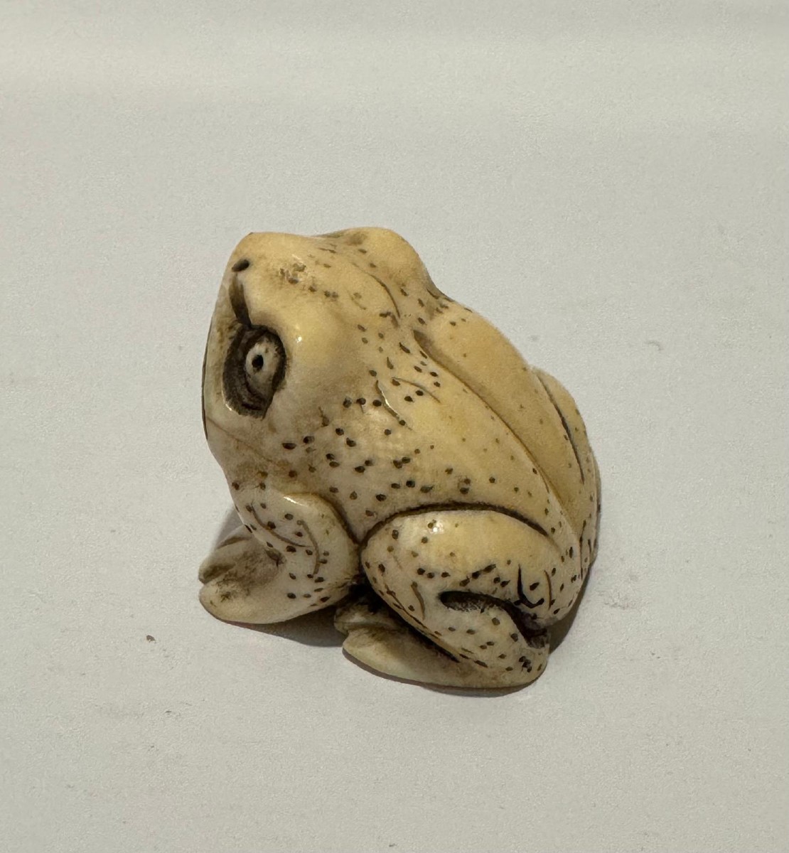 Netsuke en ivoire. Grenouille. Japon époque Meiji (1868-1912 )-photo-1