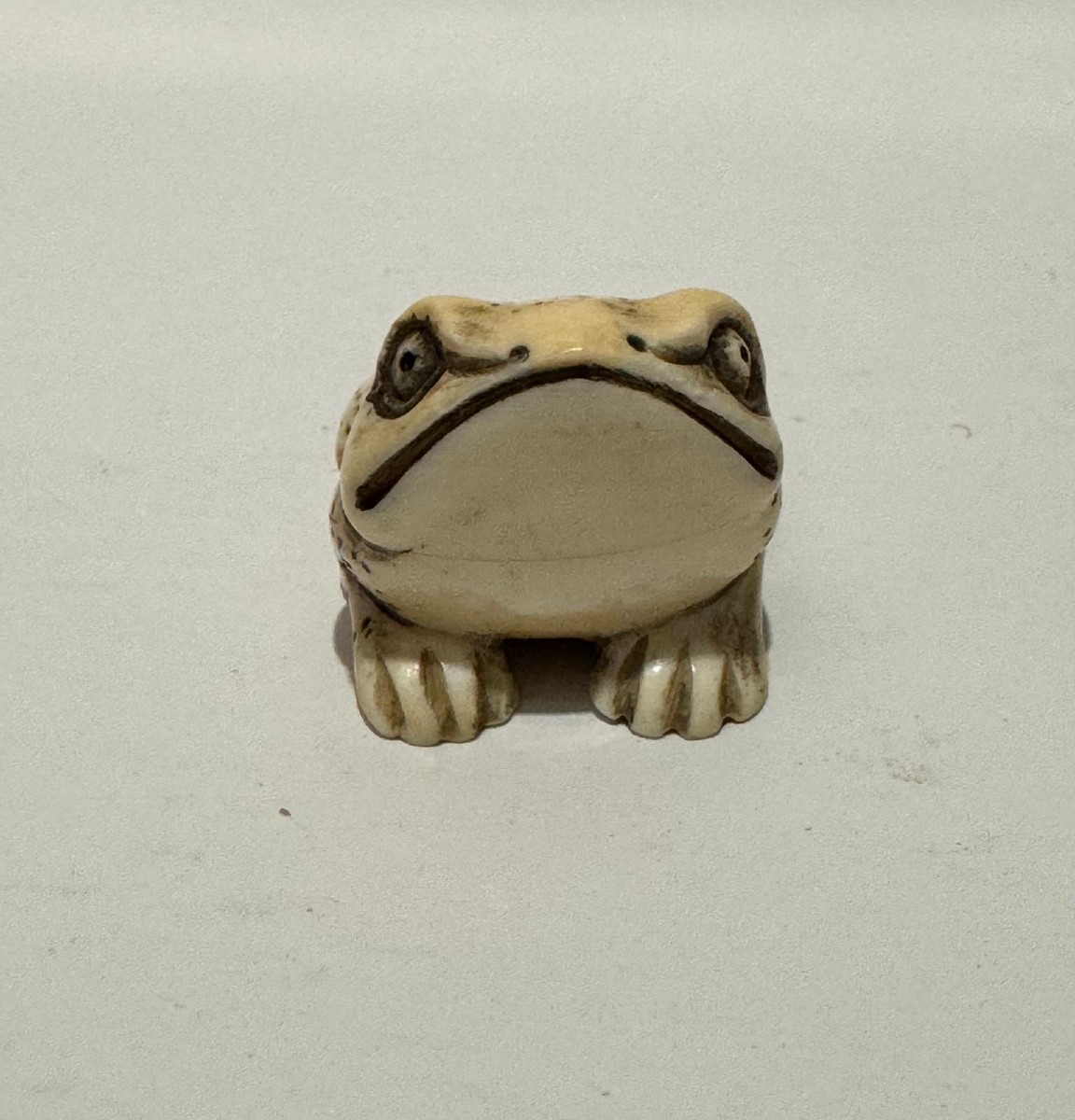Netsuke en ivoire. Grenouille. Japon époque Meiji (1868-1912 )-photo-2